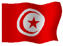 drapeau_Tunisie-1-