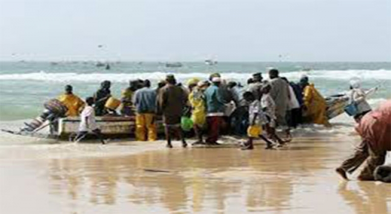 L&#039;impressionnant retour des pêcheurs au port de Kayar
