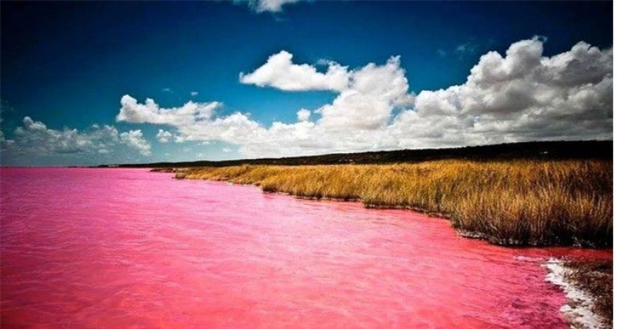 Le Lac Rose : une curiosité naturelle du Sénégal