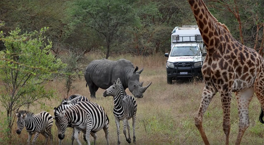 Réserve de Bandia, la mythique faune africaine à la portée de tous