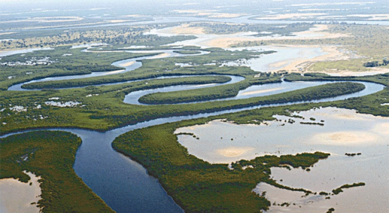 Le parc national du delta du Saloum