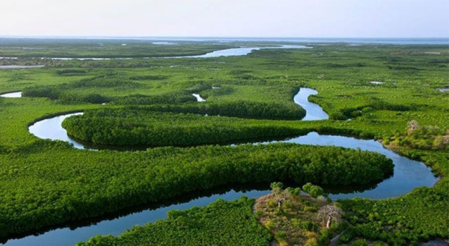 Le Delta du Saloum